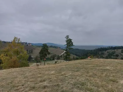 Šainovci | 4zida.rs