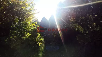 Palić | 4zida.rs