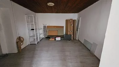 Zrenjanin, Širi centar