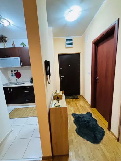 Živka Davidovića | 4zida.rs