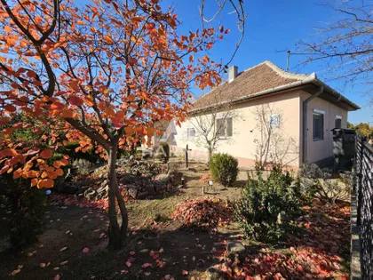 Peščarina | 4zida.rs