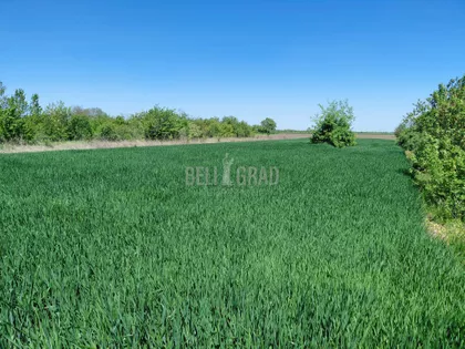 Potes Donje deteline | 4zida.rs