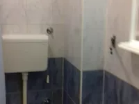 Detelinara, Gradske lokacije, Novi Sad | 4zida.rs