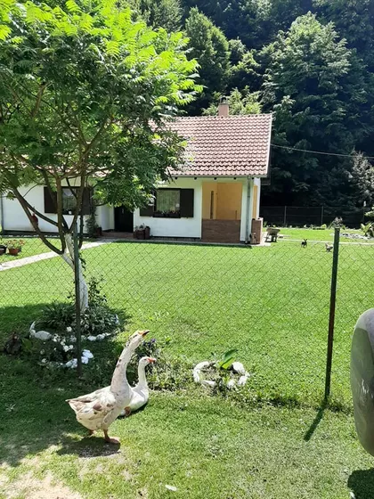 Zaselak Bobija 1 | 4zida.rs