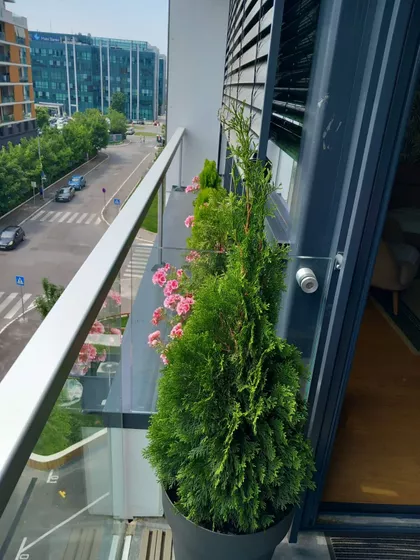 Tadije Sondermajera | 4zida.rs