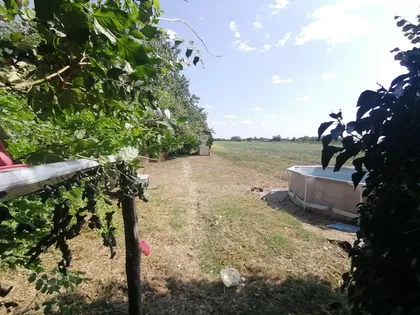 Hajdukovo | 4zida.rs