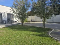 Pančevo, Gradske lokacije, Misa | 4zida.rs | 4zida.rs