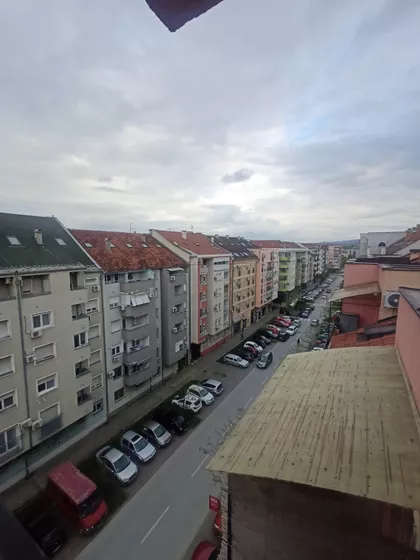 Dr Svetislava Kasapinovića | 4zida.rs