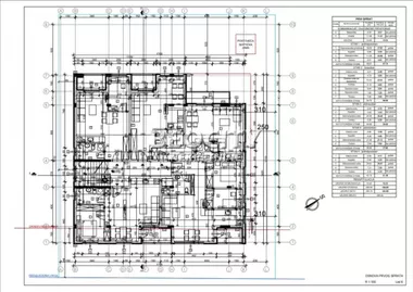 Dušana Petrovica Šaneta