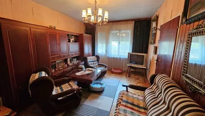 Zrenjanin, Zeleno polje | 4zida.rs