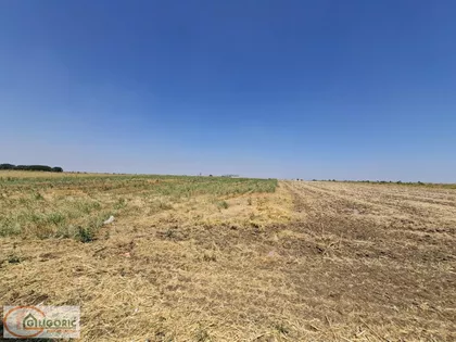 Sremskih partizana | 4zida.rs