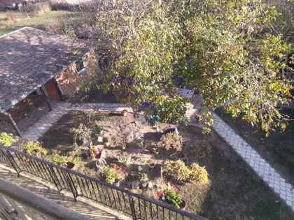 Pavla Bakića | 4zida.rs