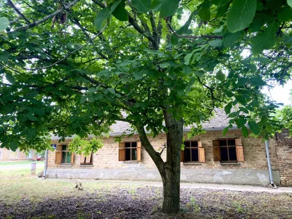 Samoš | 4zida.rs