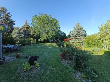 Čortanovci | 4zida.rs
