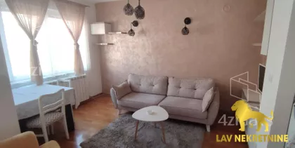 DR SVETISLAVA KASAPINOVIĆA | 4zida.rs