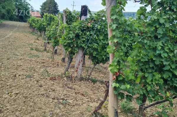 Poljoprivredno zemljište | 4zida