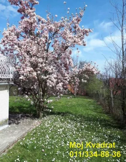 Prizrenska | 4zida.rs
