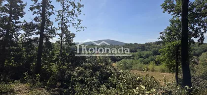 Nemenikuće | 4zida.rs