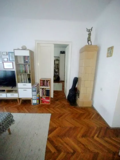 Žarka Vasiljevića | 4zida.rs