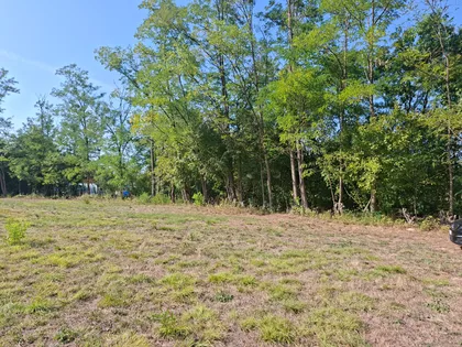 Nemanjina | 4zida.rs