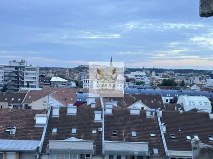 Socijalno | 4zida.rs