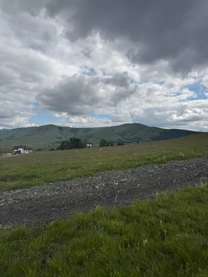 Velanski Gaj | 4zida.rs