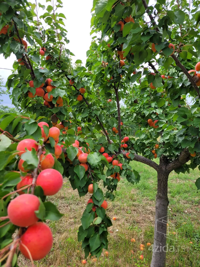 Građevinsko zemljište | 4zida