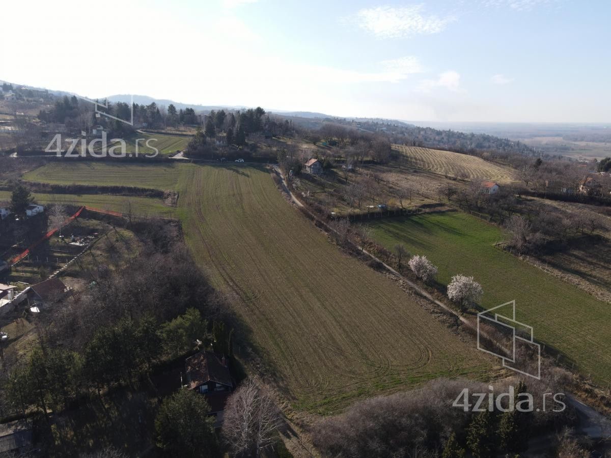 Ledinci - Prikaz 4