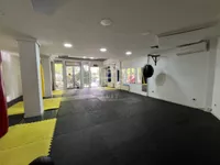 Novi Sad - Centar, Stari Grad, Gradske lokacije, Novi Sad | 4zida.rs