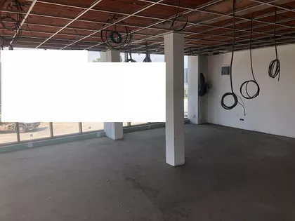 NOVOSADSKI AUTOPUT | 4zida.rs