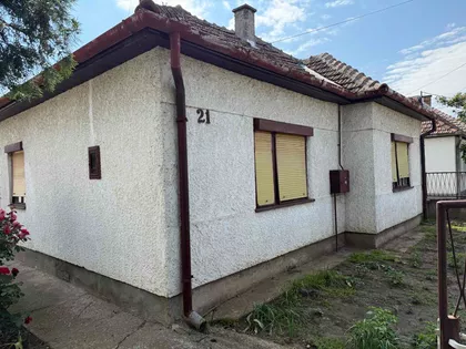 Zeleno Polje | 4zida.rs