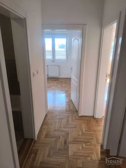 Salajka | 4zida.rs