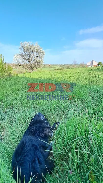 Kosmaj | 4zida.rs