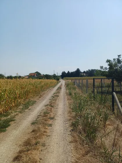 Jelene Anžujske | 4zida.rs
