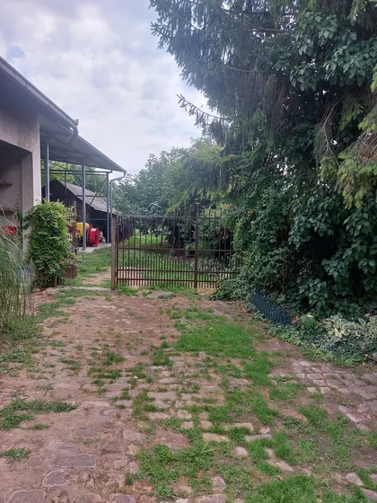 Nova Pazova | 4zida.rs