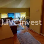 Čair, Medijana, Gradske lokacije, Niš | 4zida.rs | 4zida.rs