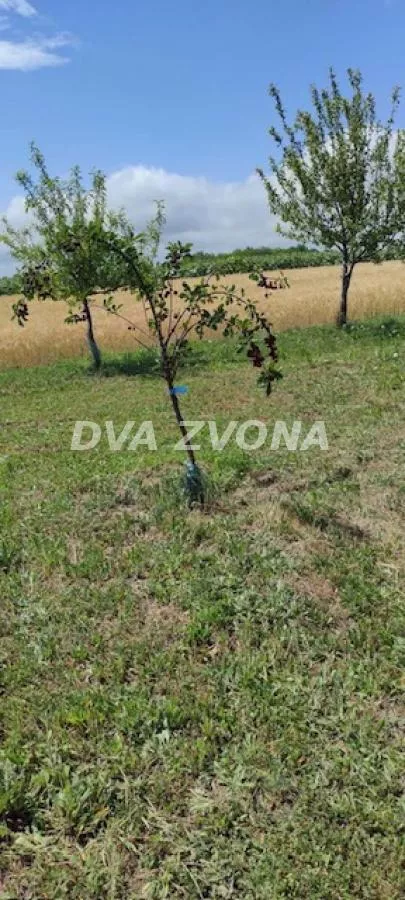 Stari Slankamen | 4zida.rs