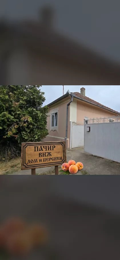 Pačir | 4zida.rs