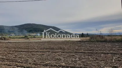 Nemenikuće | 4zida.rs