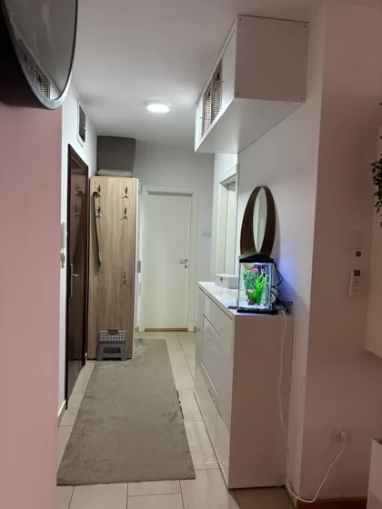 Okrugićeva | 4zida.rs