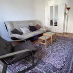 Bulevar Oslobođenja, Gradske lokacije, Novi Sad | 4zida.rs | 4zida.rs