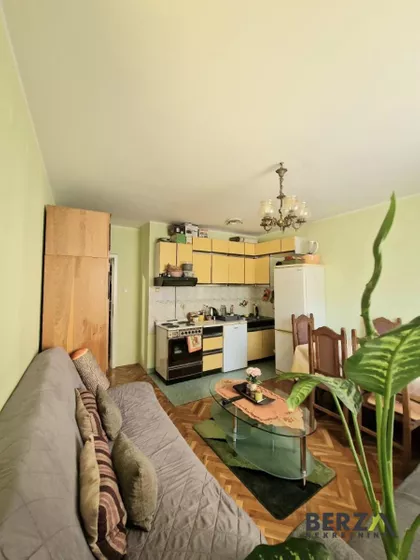 Socijalno | 4zida.rs