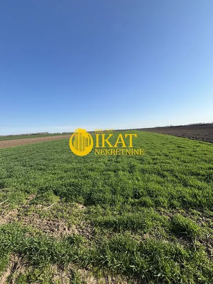 Kralja Petra I Karađorđevića | 4zida.rs