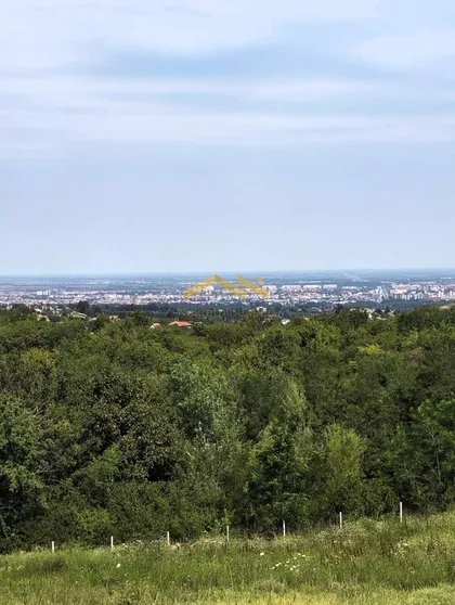 Sremska Kamenica | 4zida.rs