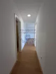 Salajka, Gradske lokacije, Novi Sad | 4zida.rs | 4zida.rs