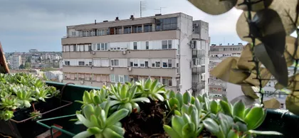 Južni Bulevar | 4zida.rs