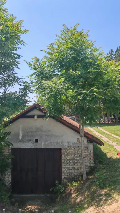 Kelebija | 4zida.rs