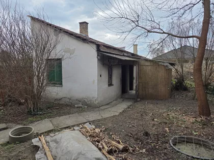 Bele Bartoka | 4zida.rs