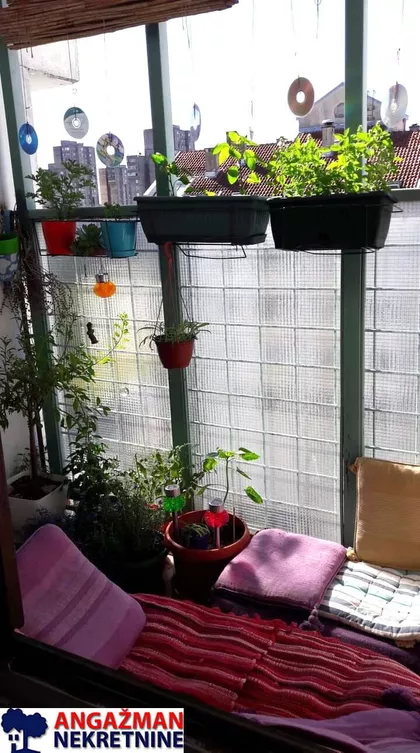 Dr Ivana Ribara | 4zida.rs