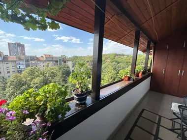 Radoja Dakića